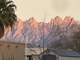 2902 Quasar Dr #NA - Photo 1 of 1