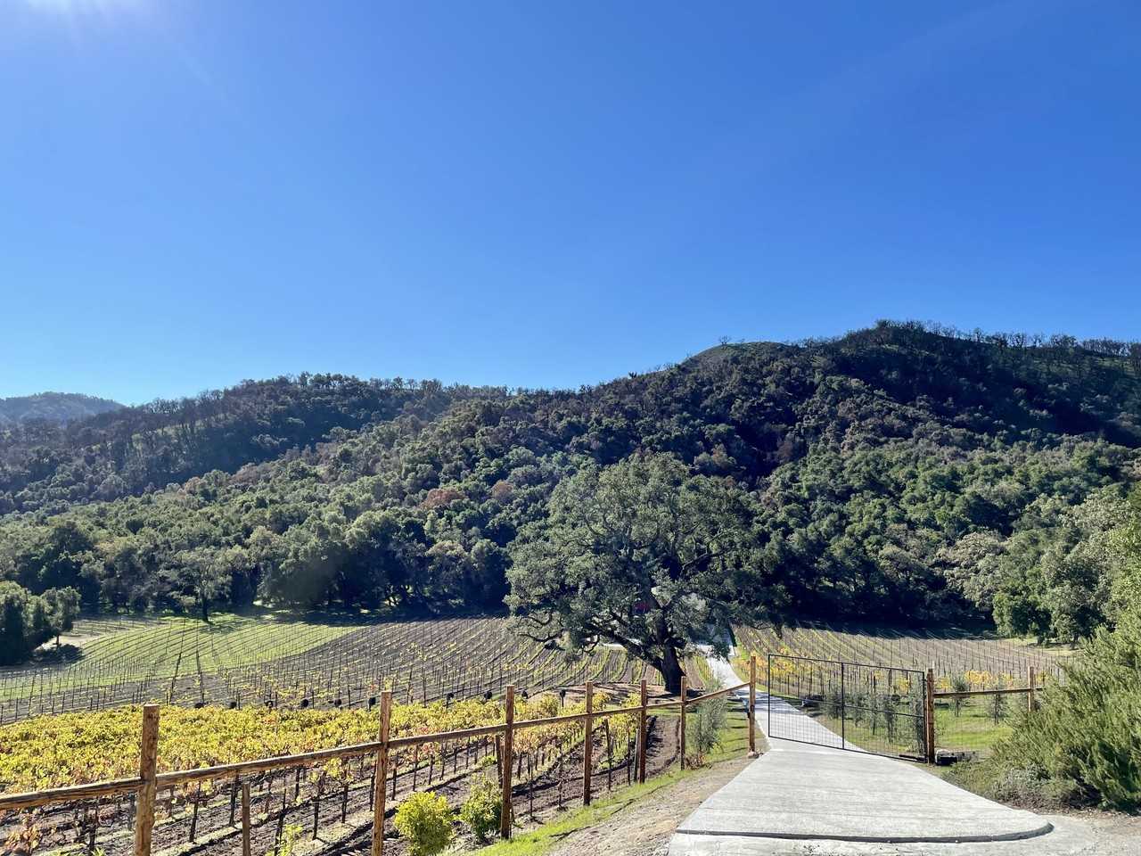 17380 Cachagua Rd #BARN - Photo 3 of 23