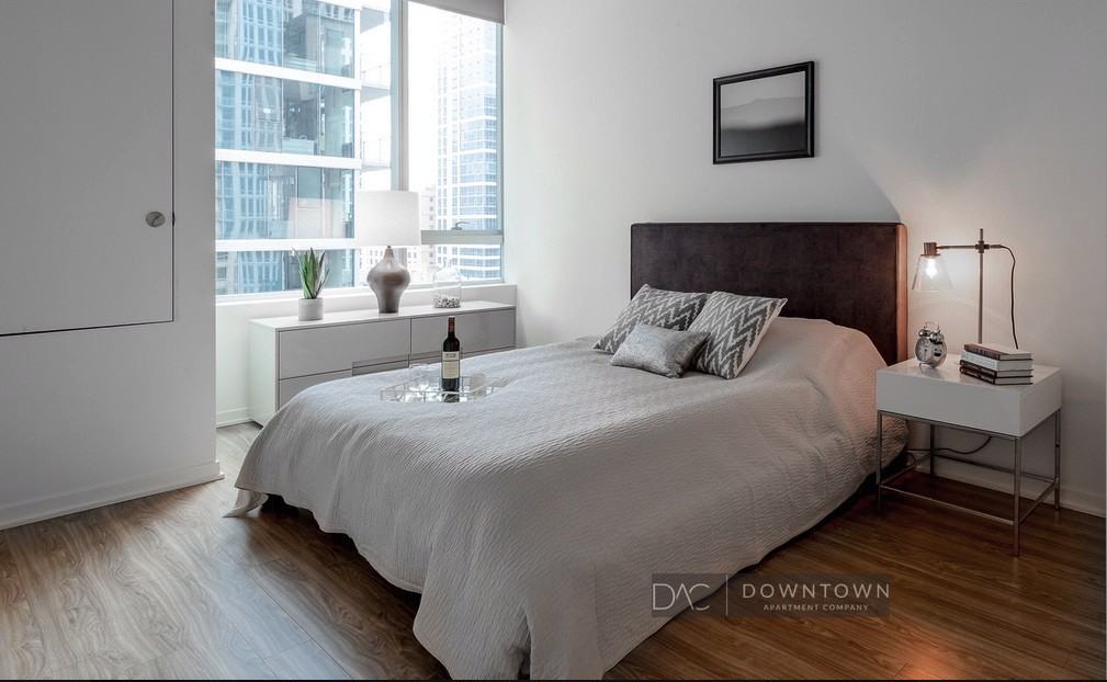 1231 S Wabash Ave #2013 - Photo 7 of 31