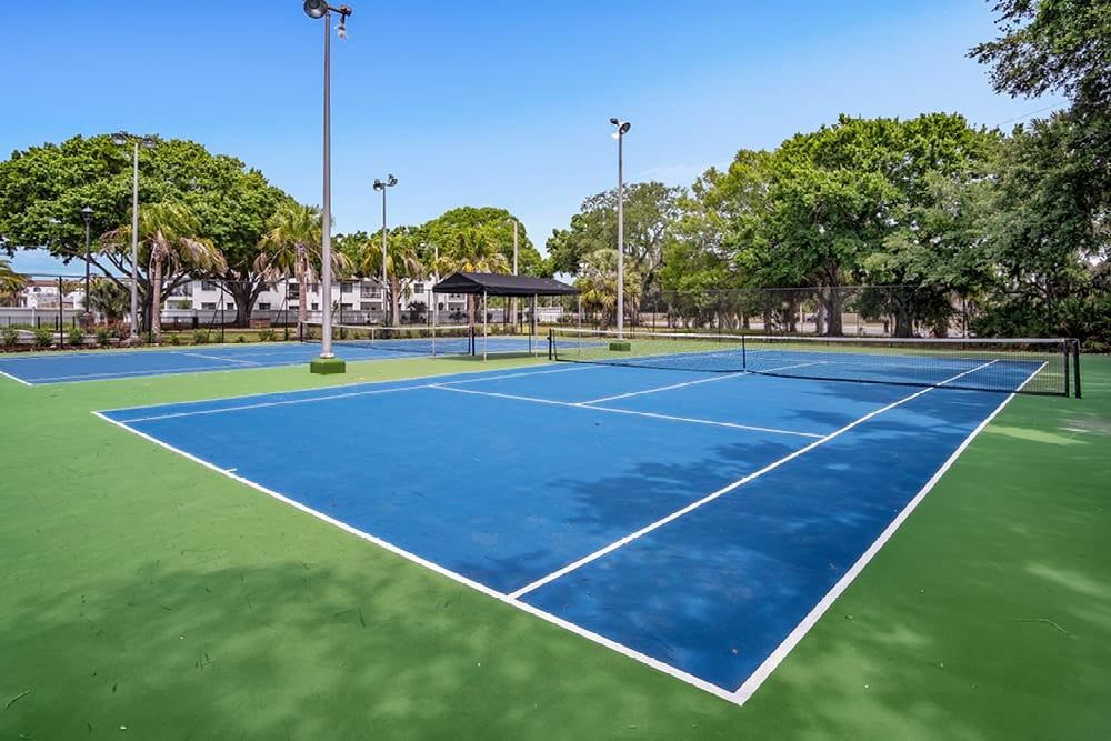 5704 Baywater Drive #1 - Photo 5 of 15