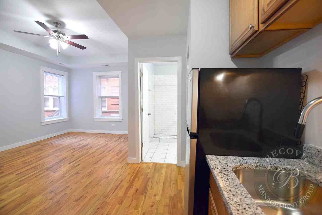 7456 N Greenview Ave #4E - Photo 2 of 11