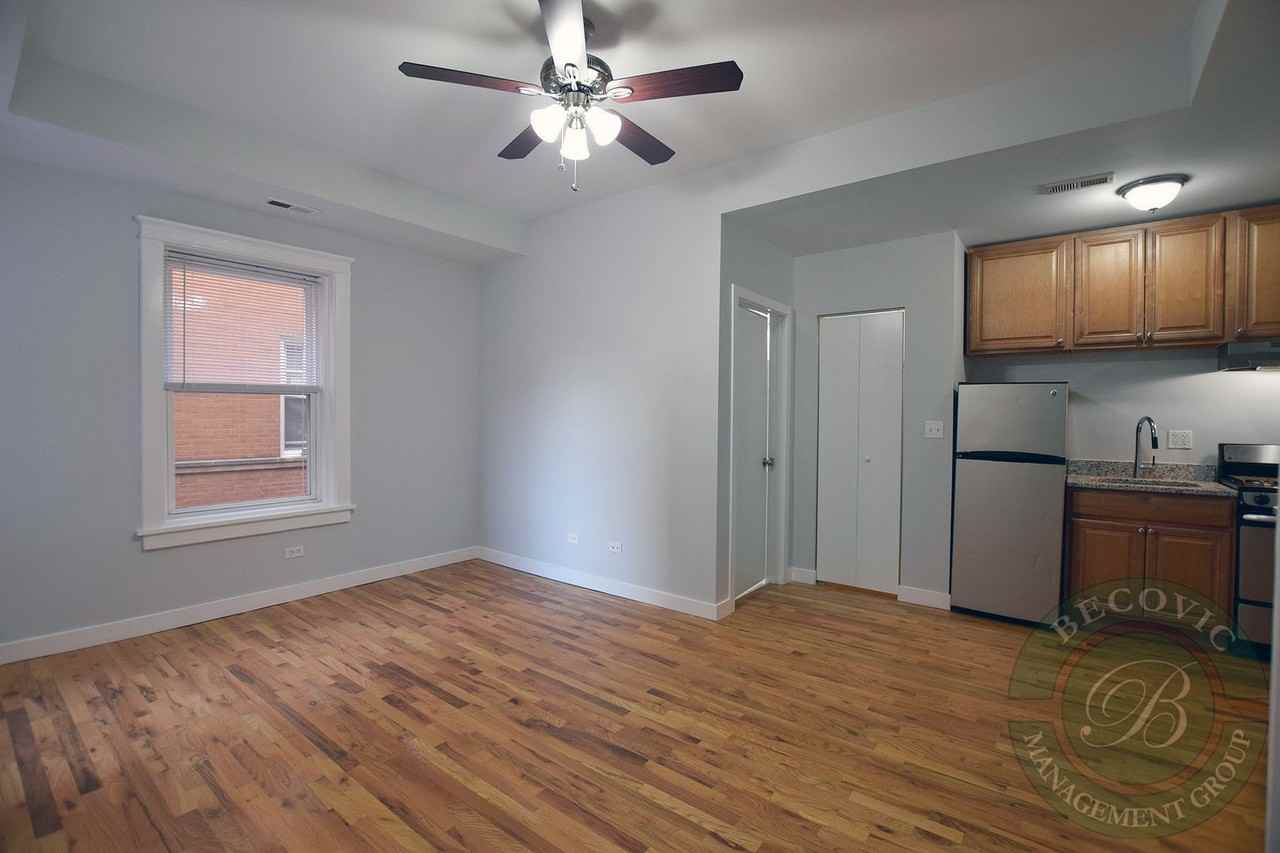 7456 N Greenview Ave #4E - Photo 3 of 11