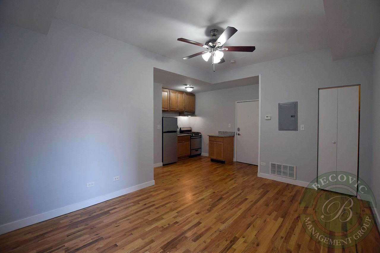 7456 N Greenview Ave #4E - Photo 4 of 11