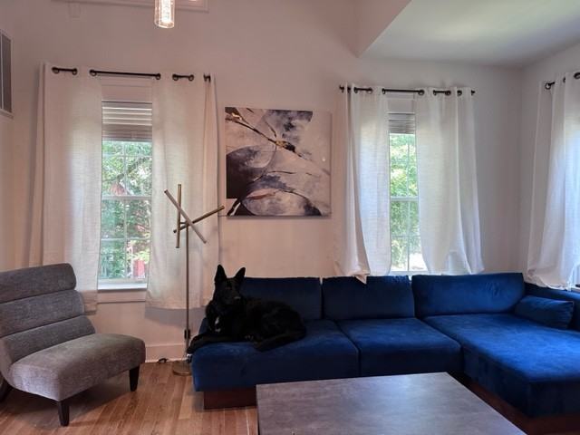 15 Atkinson St #4 - Photo 6 of 47