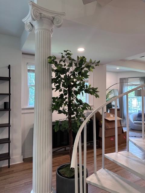 15 Atkinson St #4 - Photo 7 of 47