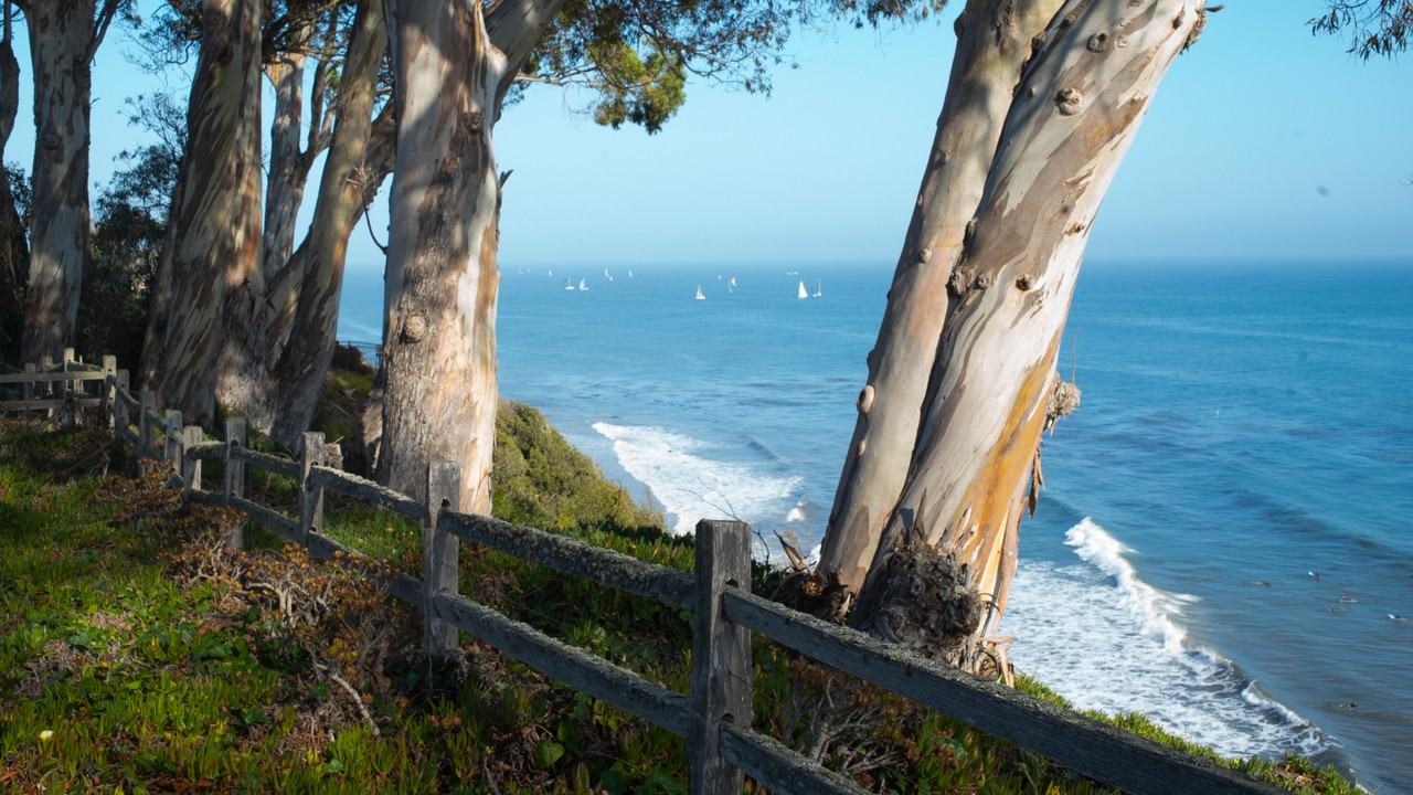 2505 Medcliff Rd #NA - Photo 5 of 20