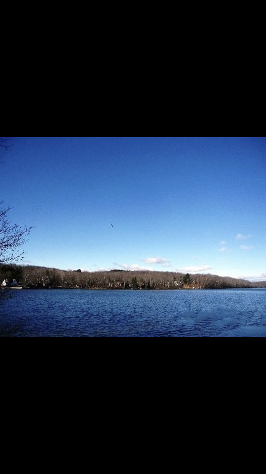 1415 Briscoe Rd #NA - Photo 3 of 15