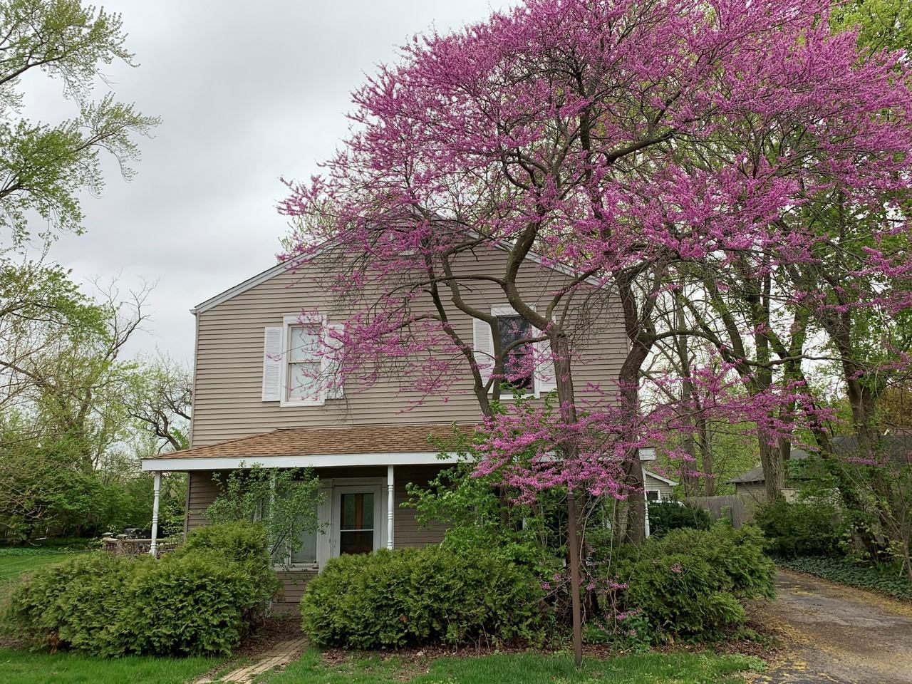 23026 N 1st St #NA - Photo 2 of 18