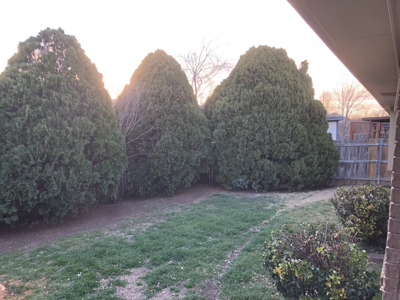 10629 Holly Grove Dr #NA - Photo 3 of 21