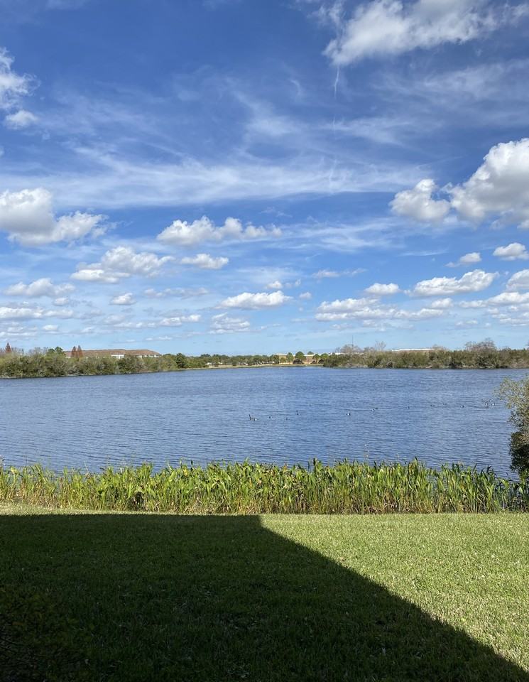 2517 Lexington Oak Dr - Photo 3 of 16