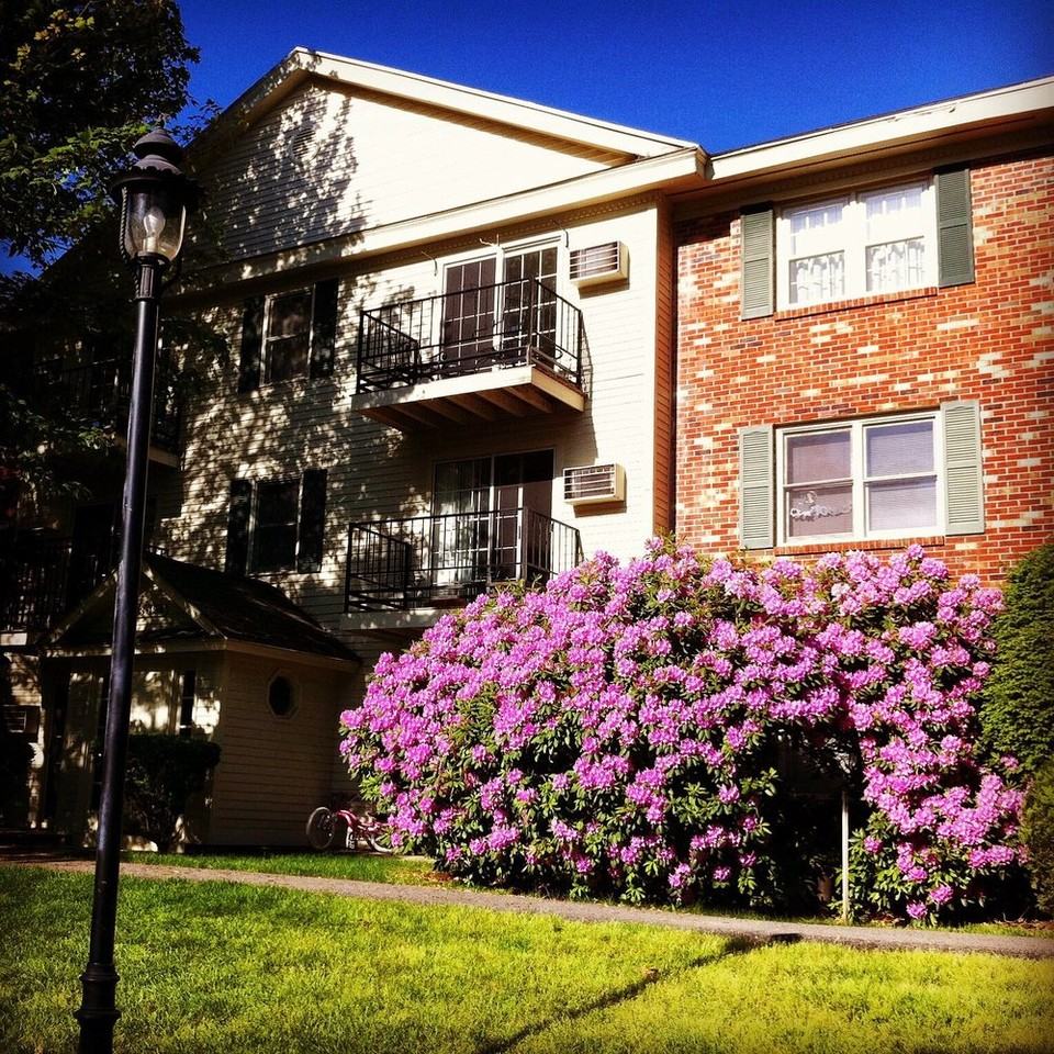 11 Saint James Pl #NA - Photo 6 of 22