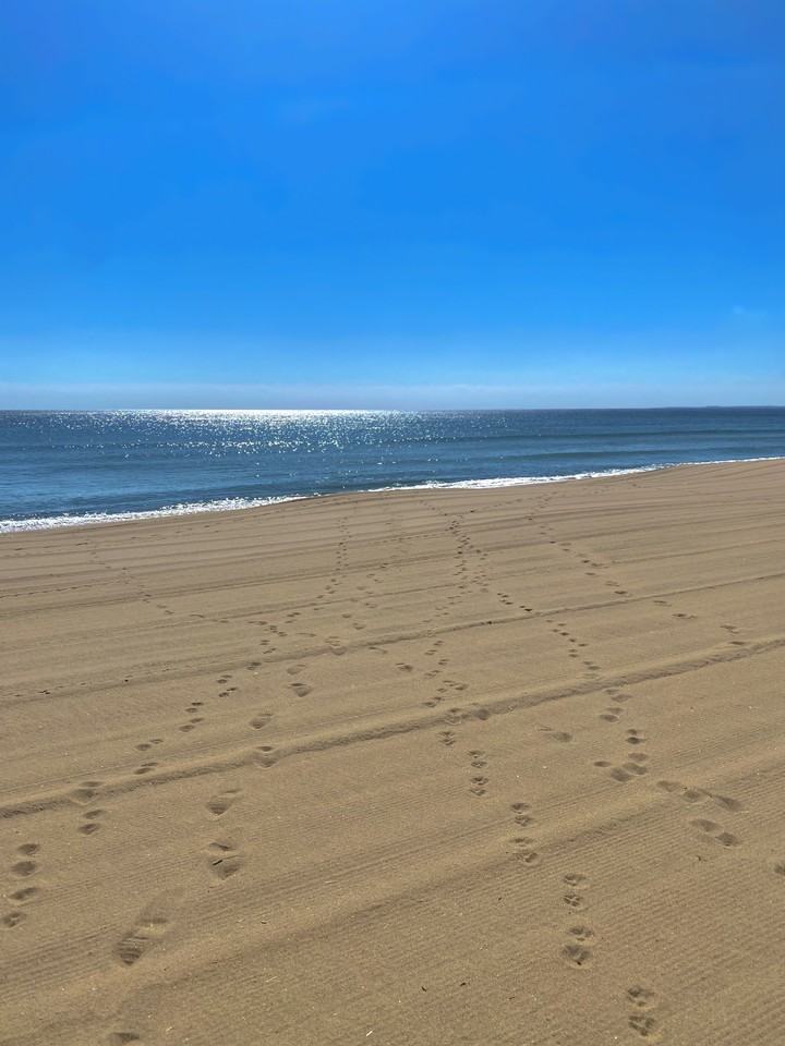 7 Shea St #A - Photo 2 of 19