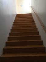featured image of 2309 Saint Thomas St #NA