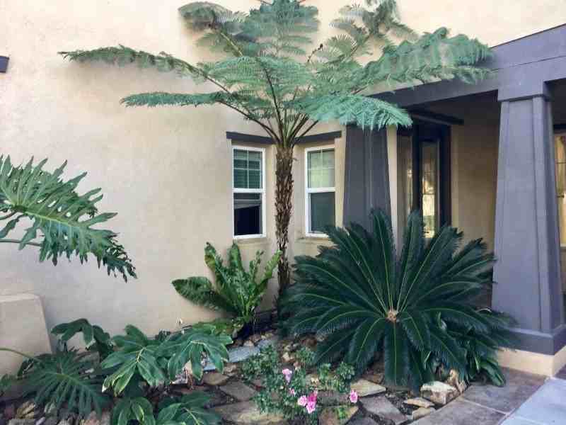 7533 Circulo Sequoia - Photo 2 of 12