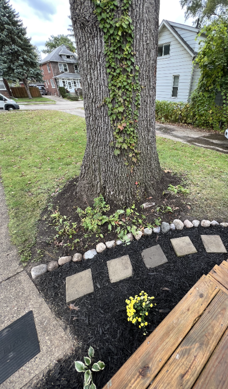 150 W Harry Ave - Photo 6 of 14