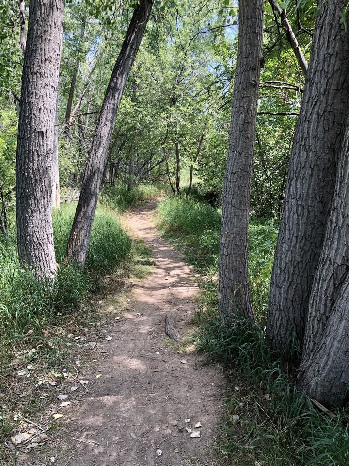 1621 Underhill Dr #4 - Photo 3 of 18