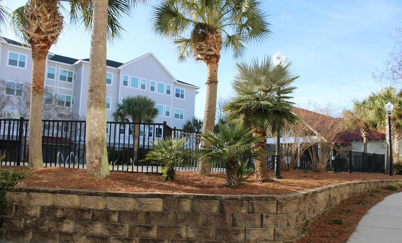 1984 Folly Rd #209A - Photo 2 of 40