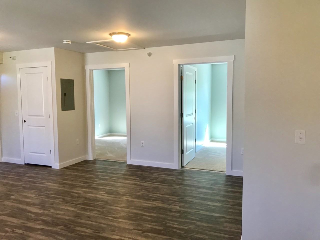 243 Bridge Street - Photo 6 of 17