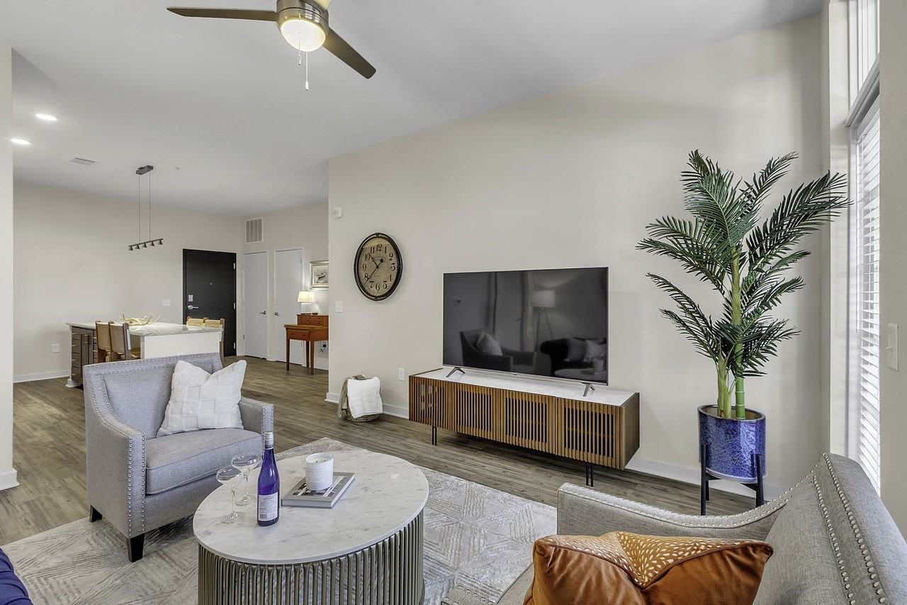 455 Buncombe St #207 - Photo 3 of 24