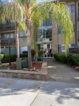 PLAZA - Photo 1 of 1