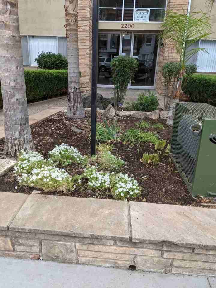 PLAZA - Photo 2 of 21
