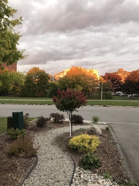 228 Colbert Crescent - Photo 3 of 15