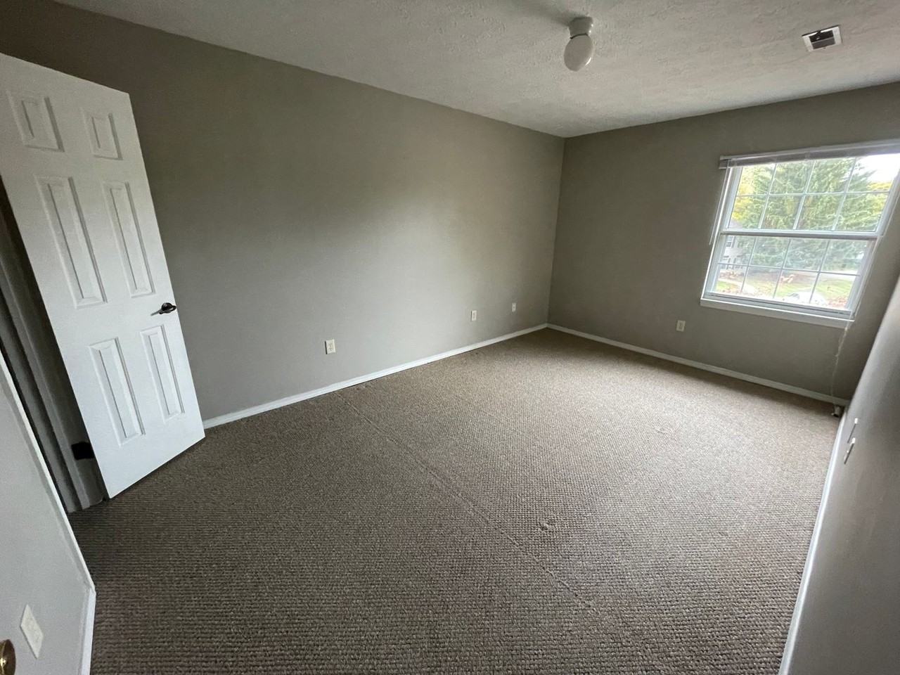 Ironwood - Photo 6 of 9