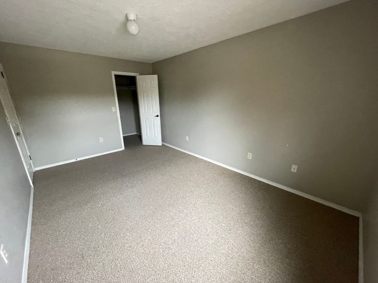 Ironwood - Photo 7 of 9