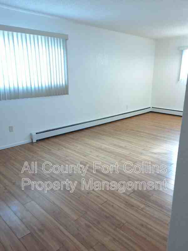 1428 S Dotsero Dr - Photo 2 of 13