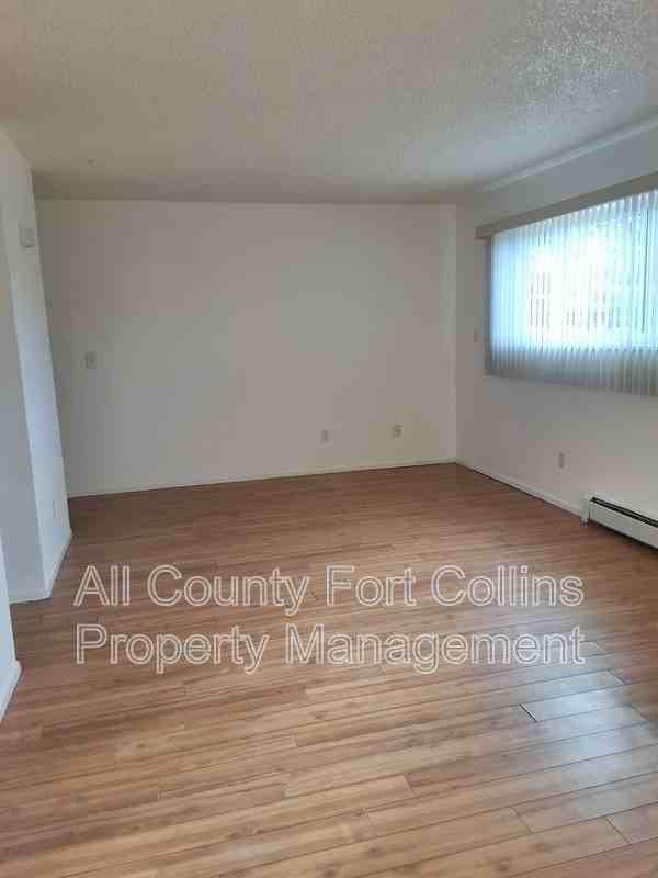 1428 S Dotsero Dr - Photo 3 of 13