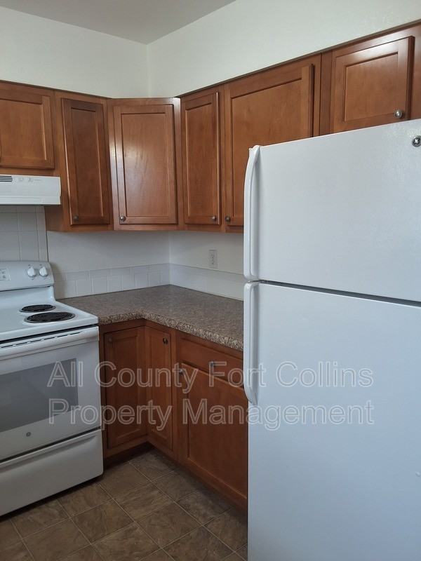 1428 S Dotsero Dr - Photo 5 of 13