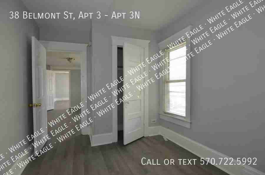 38 Belmont St #3N - Photo 3 of 15