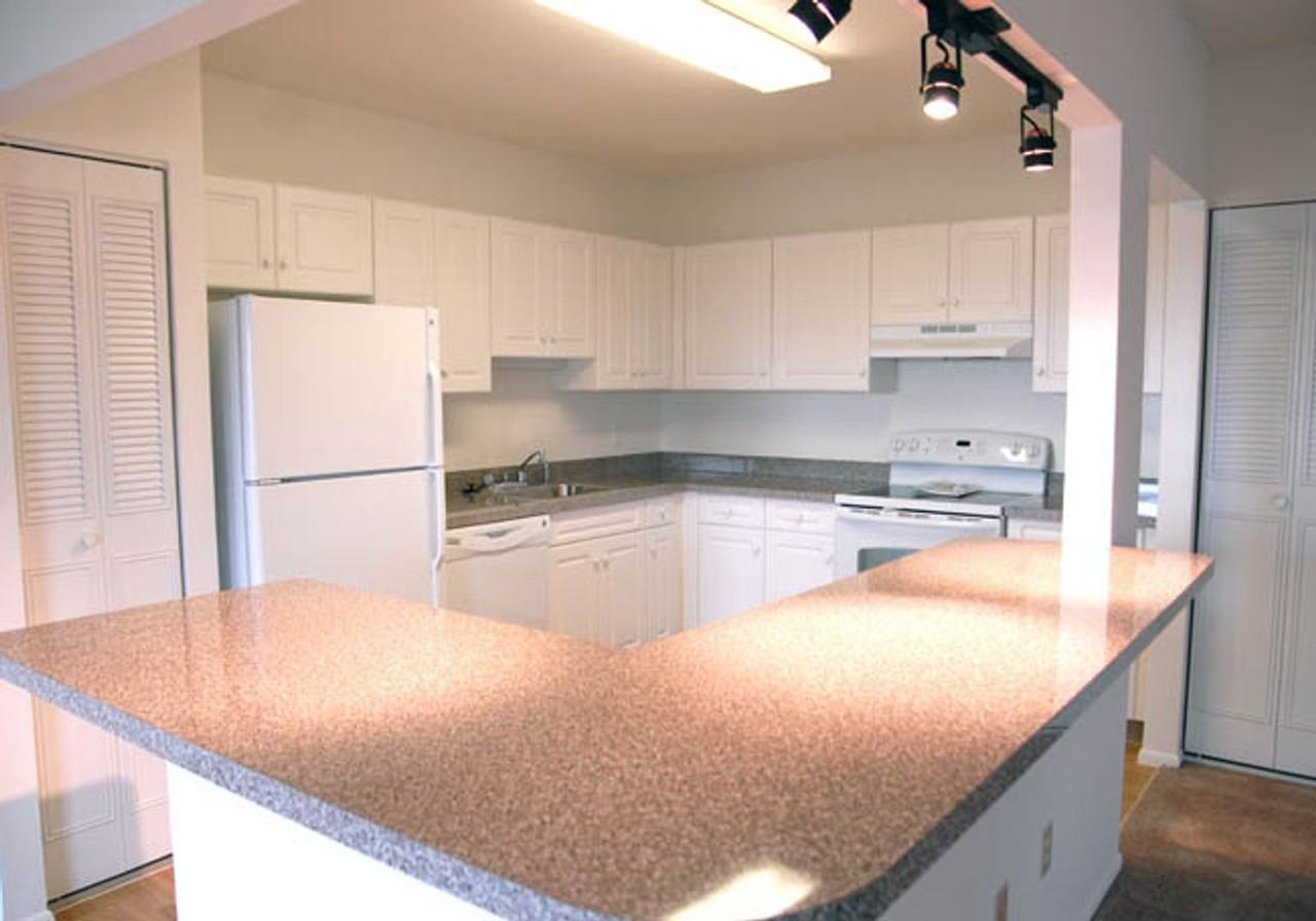 Chestnut Hill South - Photo 5 of 15