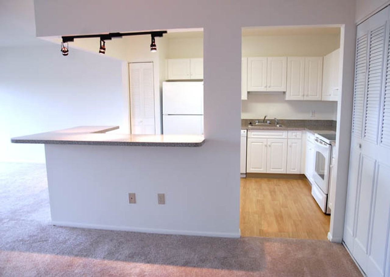 Chestnut Hill South - Photo 7 of 15