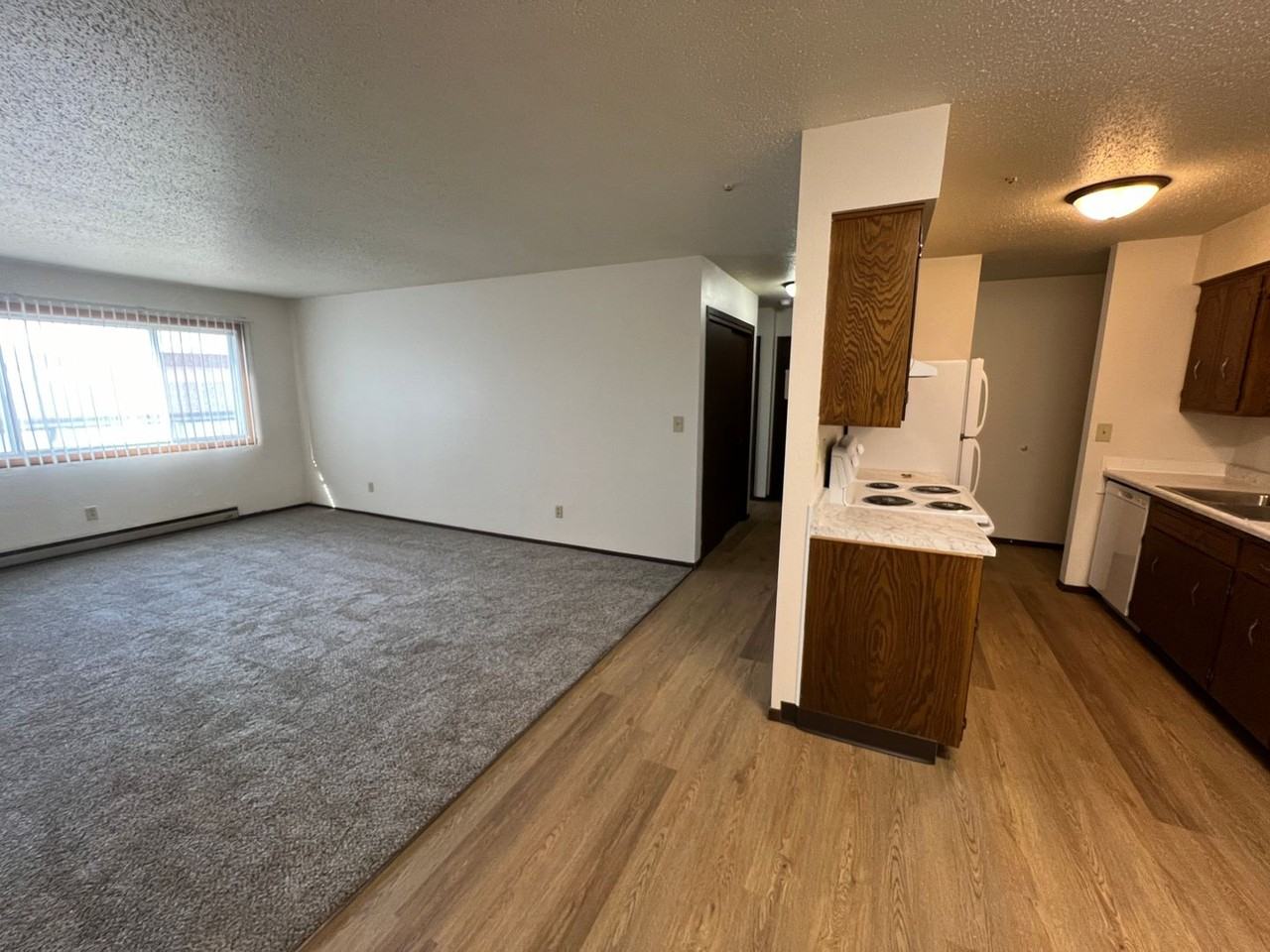 2001 23rd Street South #203 - Photo 5 of 12