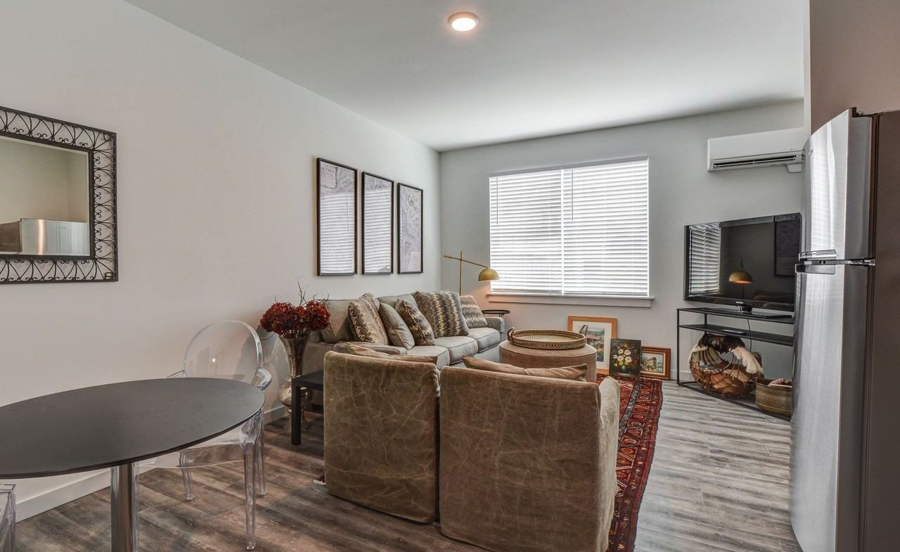 ZAZU - Photo 6 of 50