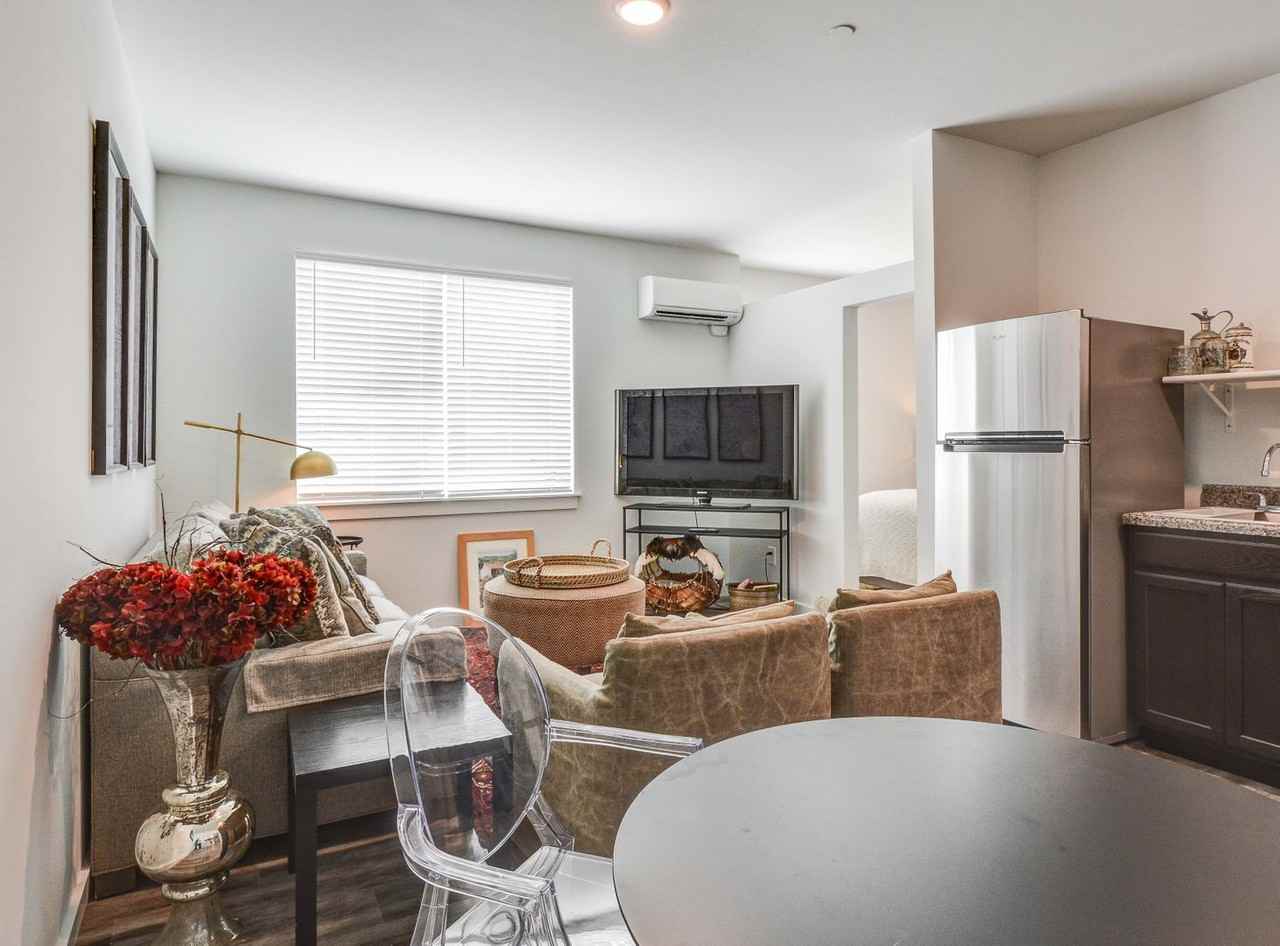 ZAZU - Photo 5 of 50