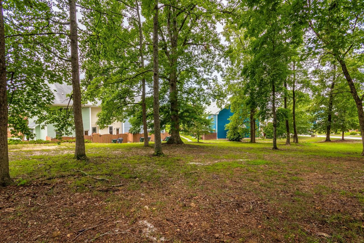 1041 Mica Lamp Ct - Photo 2 of 17