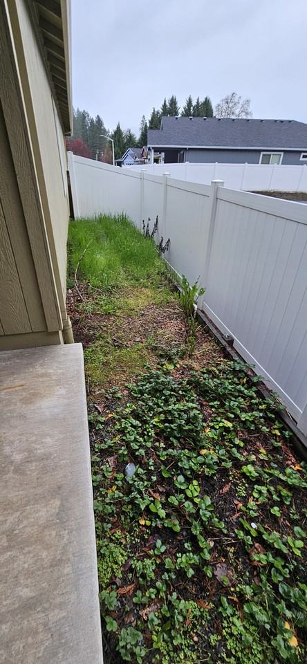 215 Westbrook Dr #NA - Photo 7 of 8