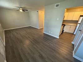 featured image of Tribune Ave Sw