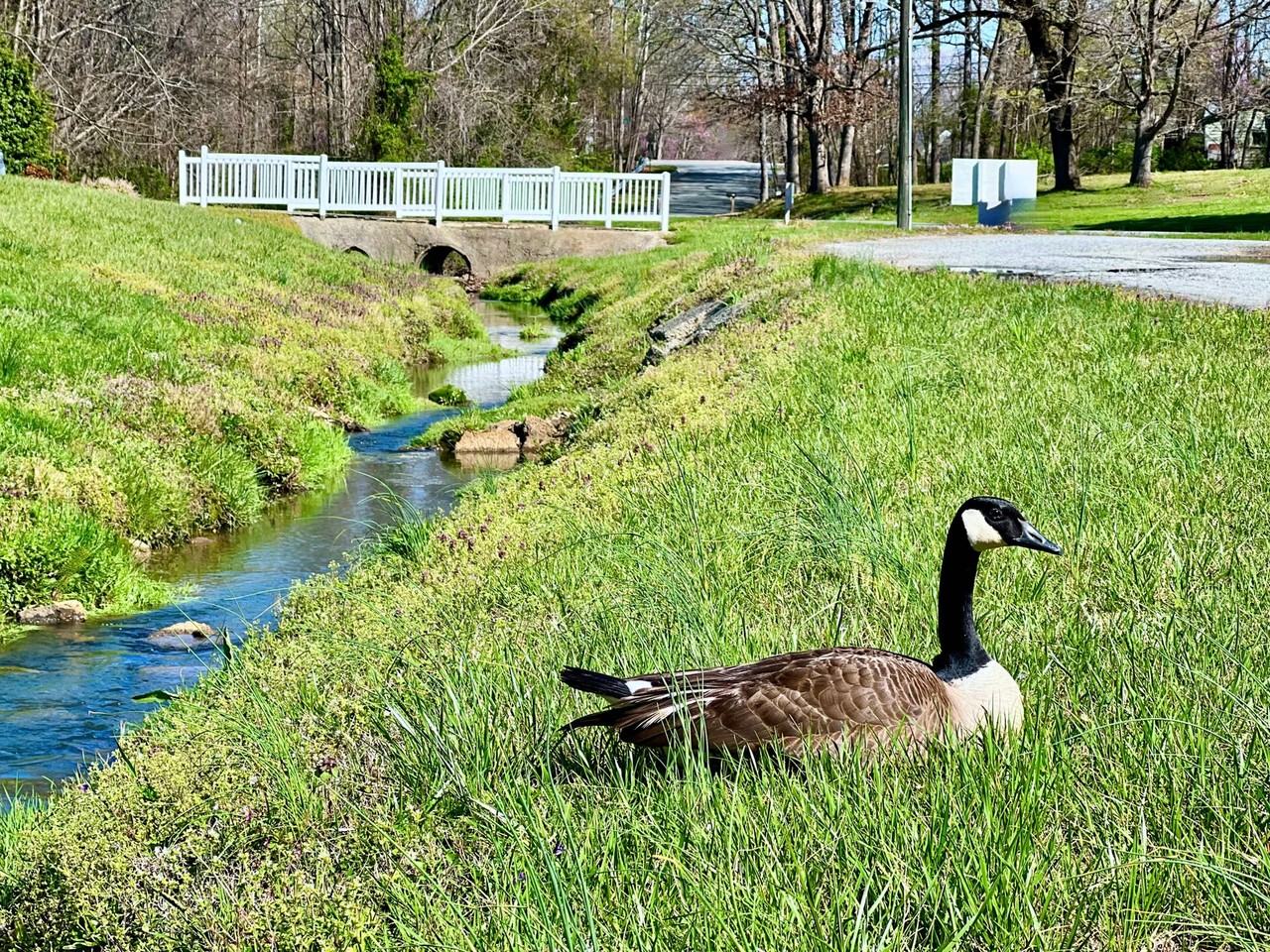 Lakewood Apartments - Photo 5 of 18