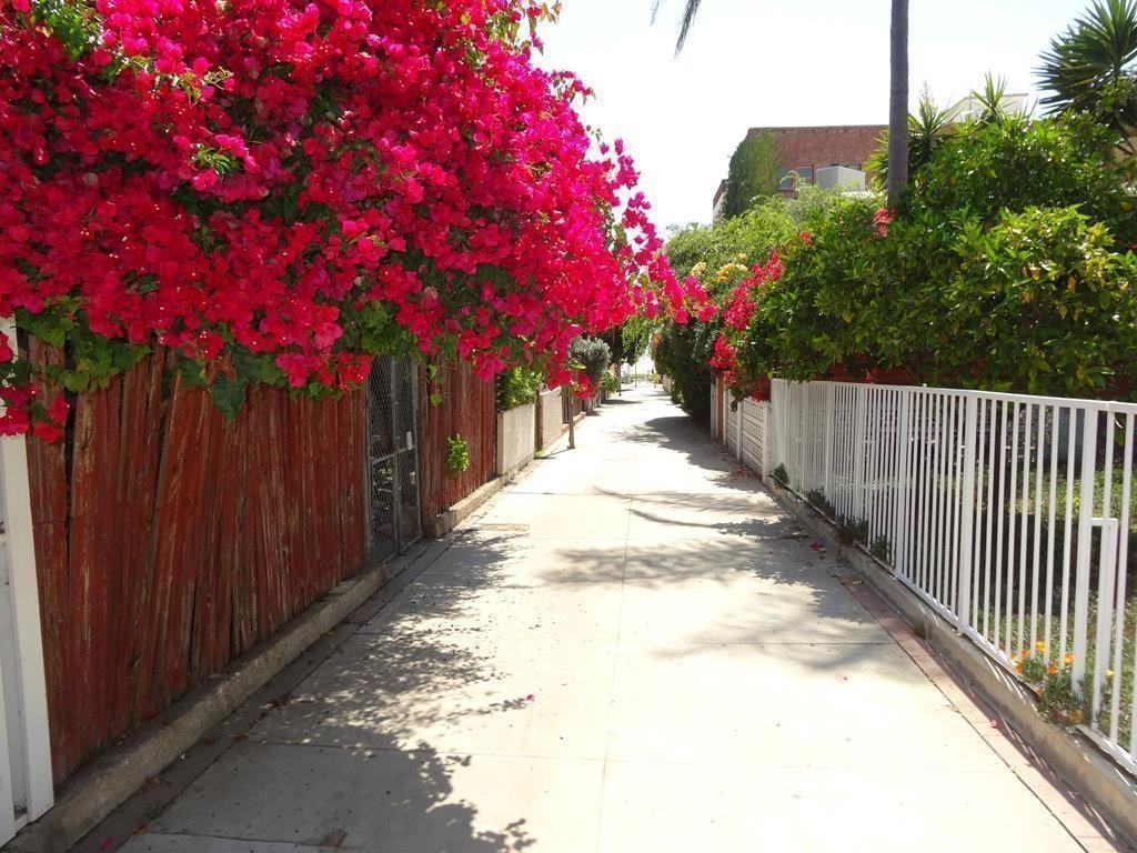 48 Paloma Ave - Photo 3 of 36