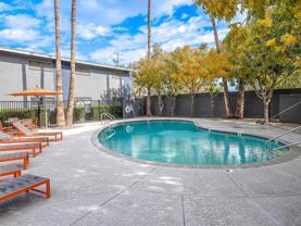 1224 East Lemon Street - Photo 1 of 1