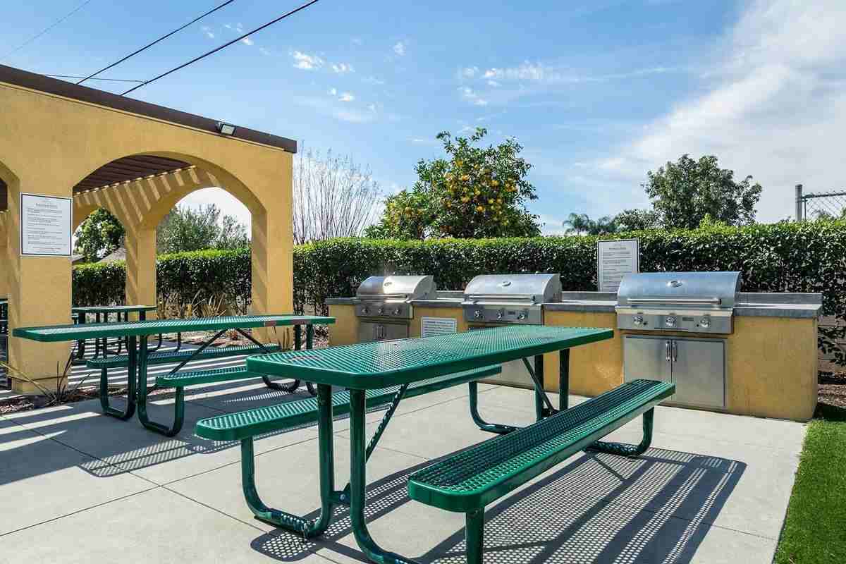 1900 S Campus Ave - Photo 2 of 32