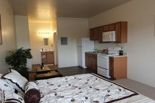 Updated unit close to CMU! Live without roommates at an affordable price! - Photo 1 of 1