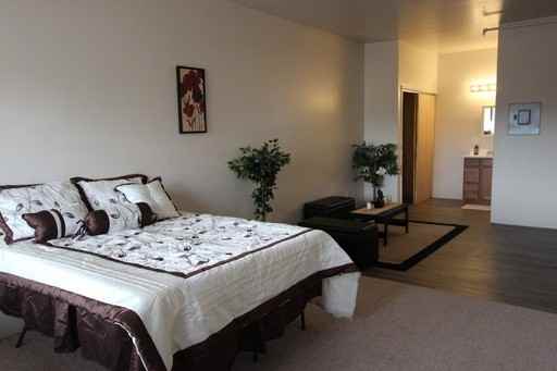 Updated unit close to CMU! Live without roommates at an affordable price! - Photo 7 of 18