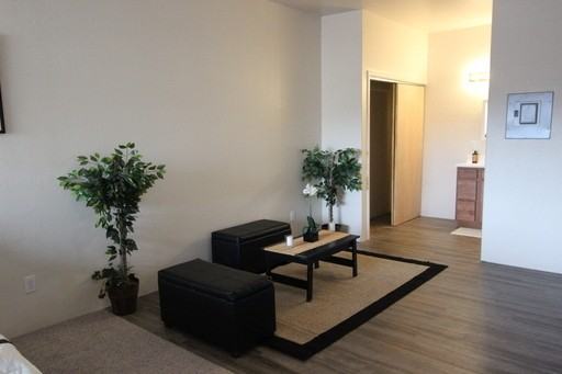 Updated unit close to CMU! Live without roommates at an affordable price! - Photo 3 of 13