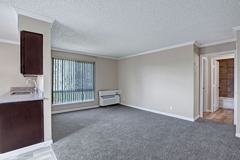3903 49th Ave. - Photo 1 of 1