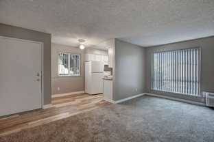 3903 49th Ave. - Photo 1 of 1