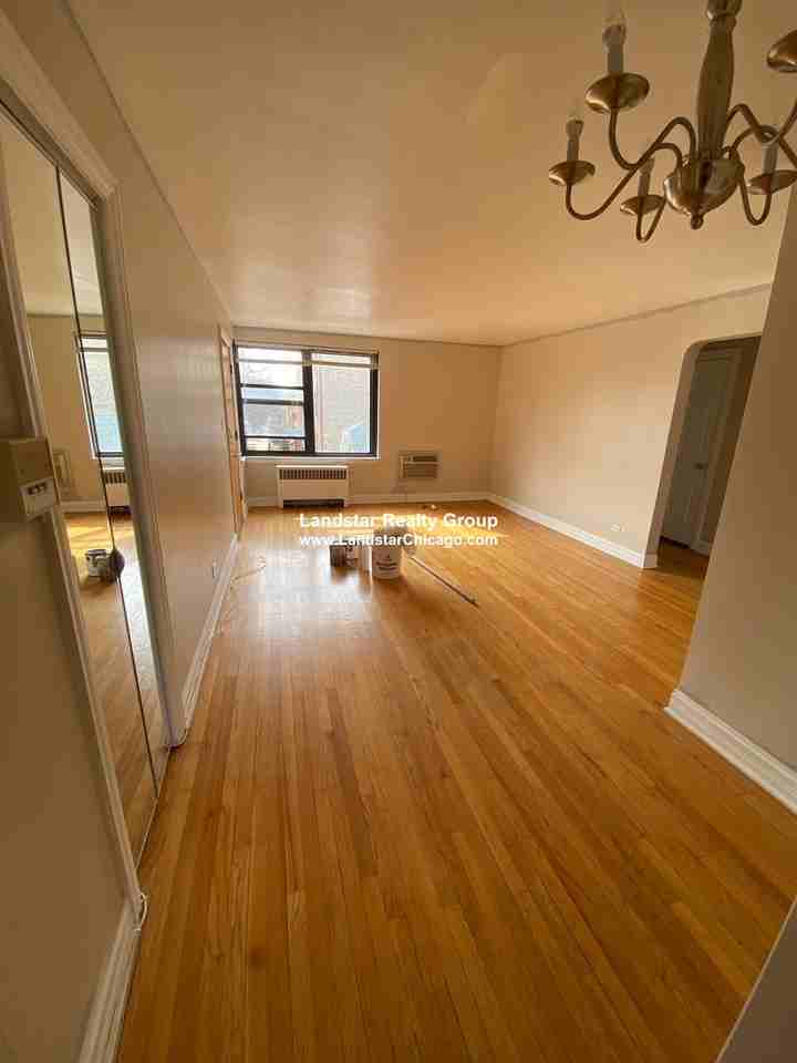 7322 N Ridge Blvd #3W - Photo 3 of 13